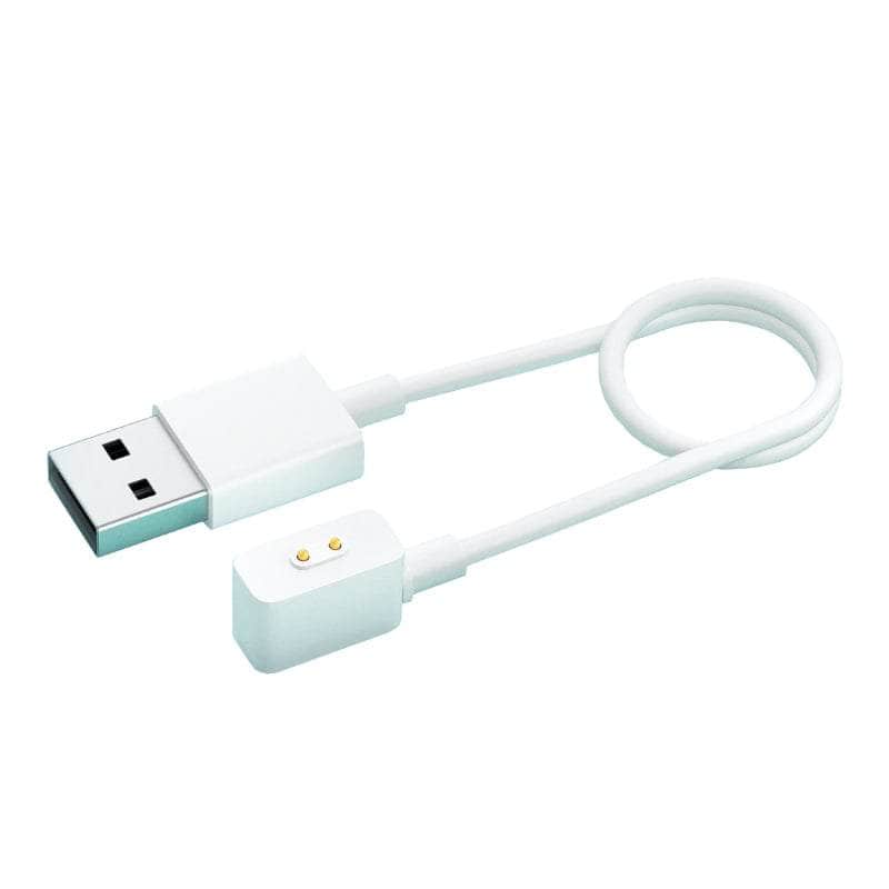 Xiaomi Xiaomi Redmi 2 Series Magnetic Charging Bhr6984 Gl BHR6984GL