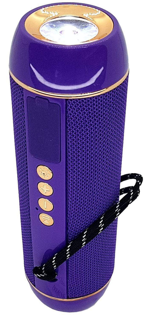 CShop.co.za | Powered by Compuclinic Solutions H13 PURPLE BLUETOOTH/USB/FM/M-SD H13-P